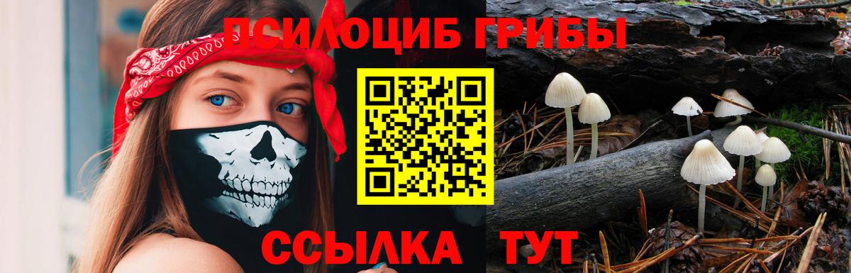 Галлюциногенные грибы прущие грибы Ростов-на-Дону